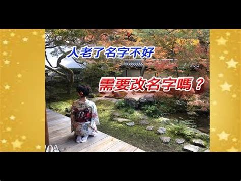 彣姓名學|【彣意思名字】 彣 字深藏的奧秘：姓名學裡的寓意與五行解析